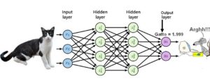 CAt deep learning